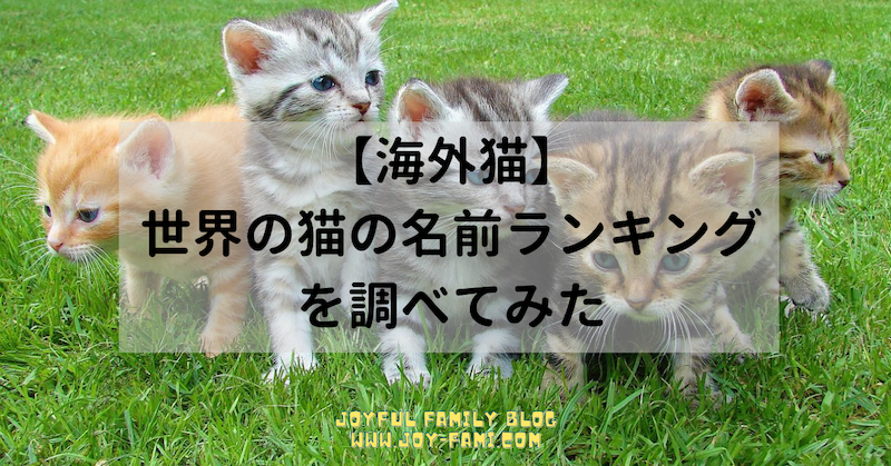 海外猫の名前はおしゃれ 8カ国のランキングを調べてみた Joyful Family Blog